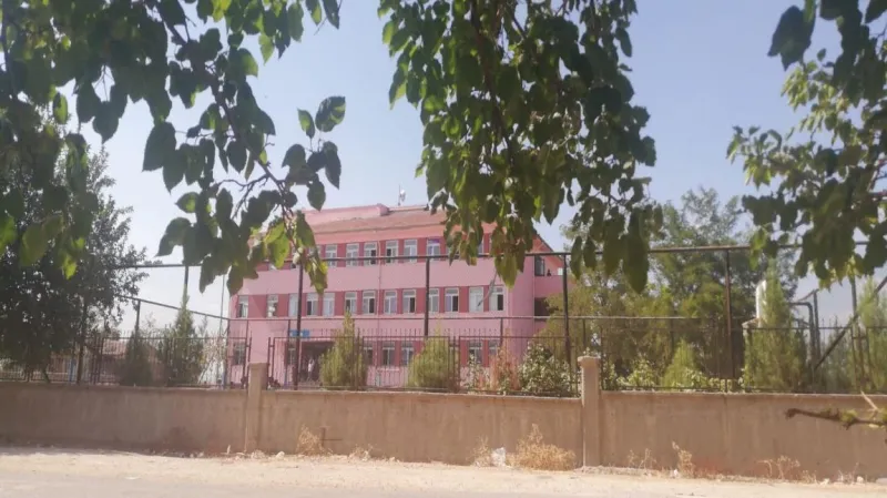 Ergani Hanköyü Ortaokulu - Ergani Ortaokulları