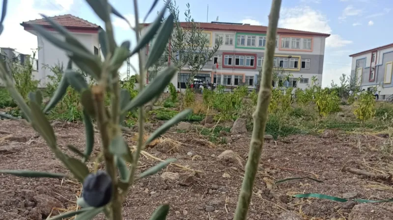 Yavuzeli Zeki Behiye Korkmaz Ortaokulu - Yavuzeli Ortaokulları