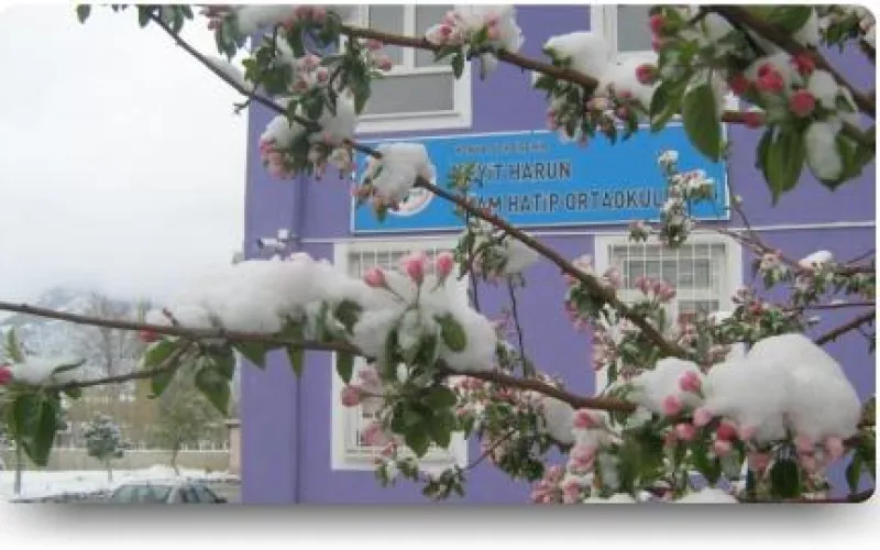 Seydişehir Seyit Harun İmam Hatip Ortaokulu - Seydişehir Ortaokulları