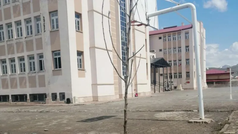 Bitlis Necip Fazıl Kısakürek Ortaokulu - Bitlis Ortaokulları