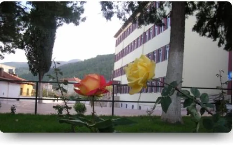 Denizli Zehra Suna Manasır Ortaokulu - Denizli Ortaokulları