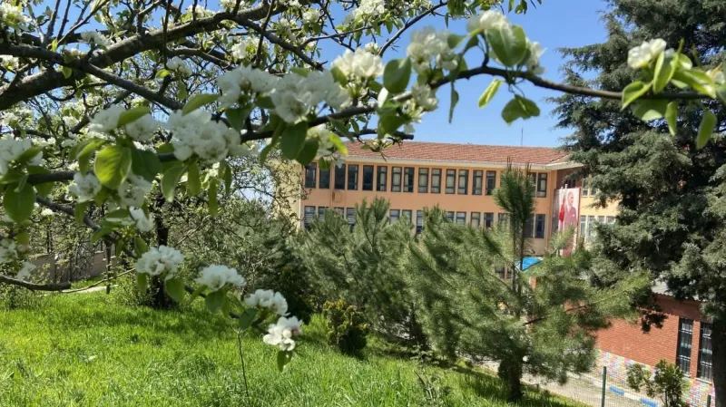 İstanbul Dede Korkut Ortaokulu - İstanbul Ortaokulları