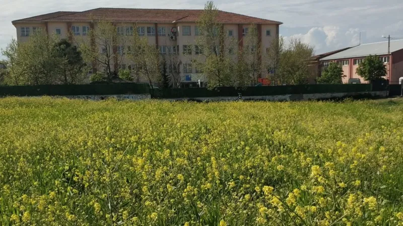 İstanbul Ulubatlı Hasan Ortaokulu - İstanbul Ortaokulları