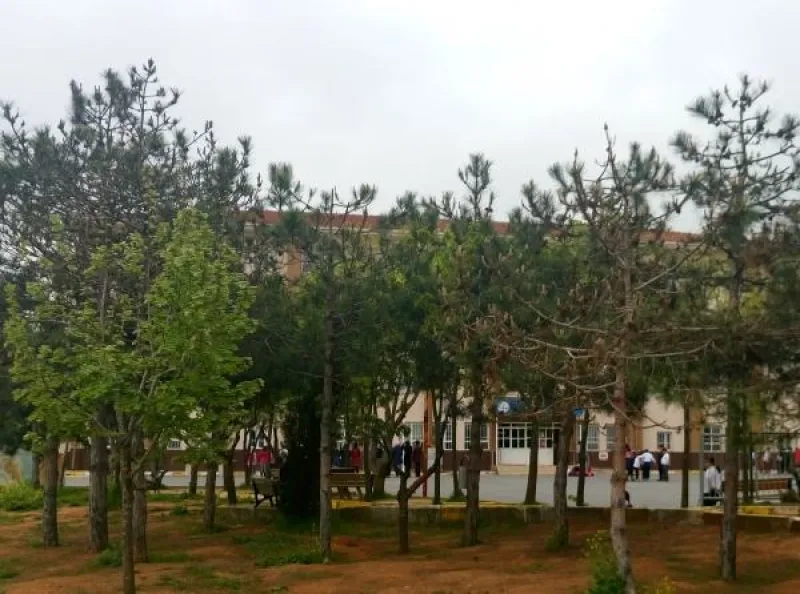 İstanbul Gazi Mustafa Paşa İmam Hatip Ortaokulu - İstanbul Ortaokulları