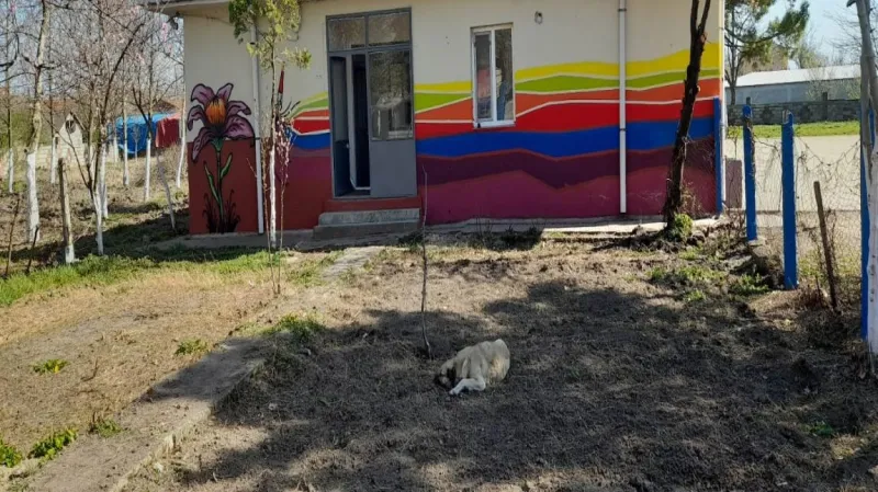 Kırklareli Çiftlikköy Ortaokulu - Kırklareli Ortaokulları