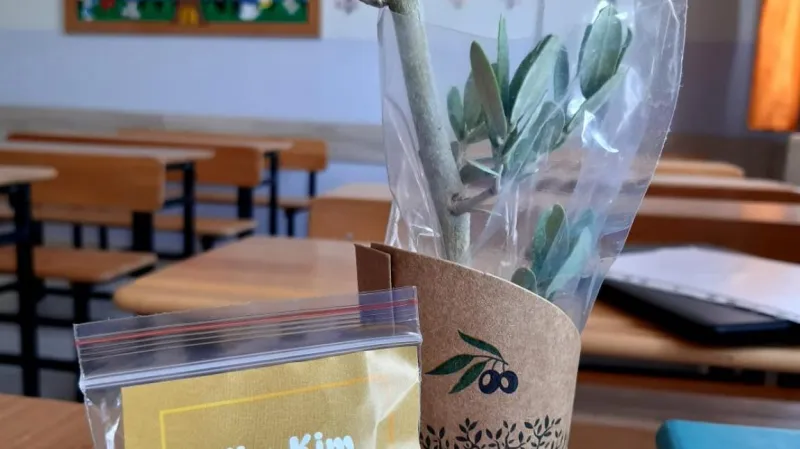 Mardin Sakalar Emine Behçet Keleşoğlu Ortaokulu - Mardin Ortaokulları