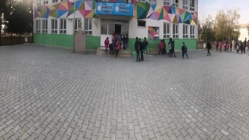 Şanlıurfa Mamuca Ortaokulu - Şanlıurfa Ortaokulları