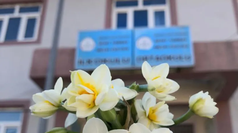 Şırnak Şehit Yarbay Melih Gülova Ortaokulu - Şırnak Ortaokulları