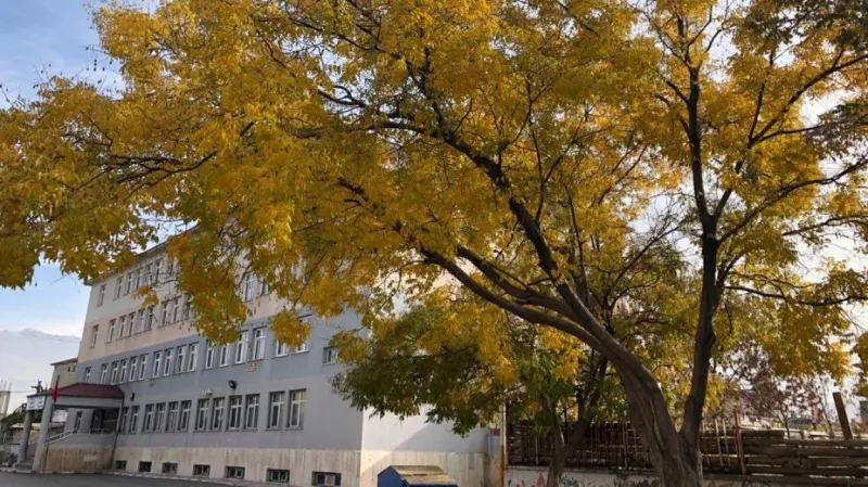 Van Hacıbekir Ortaokulu - Van Ortaokulları